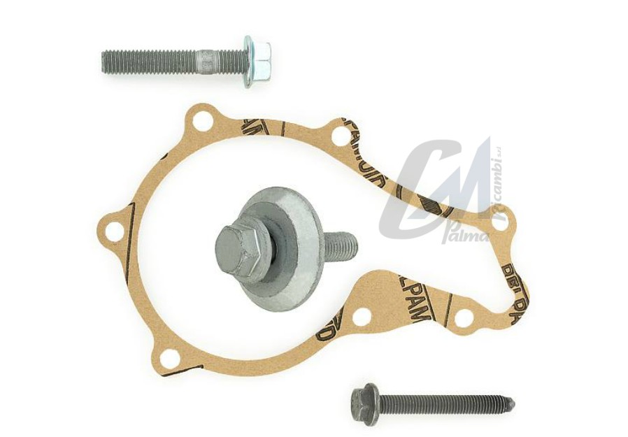 Kit Tendicinghia Ina 530037530 - Larghezza 25mm, 137 Denti, Alta Qualità - Foto 8